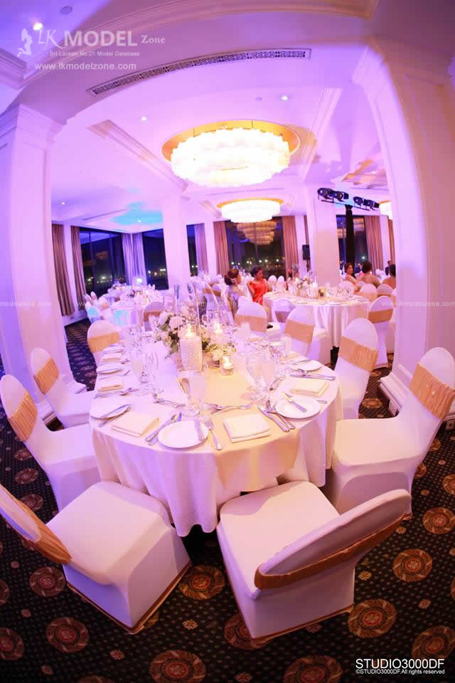 Jeewan and Shereen 30th Wedding Anniversary